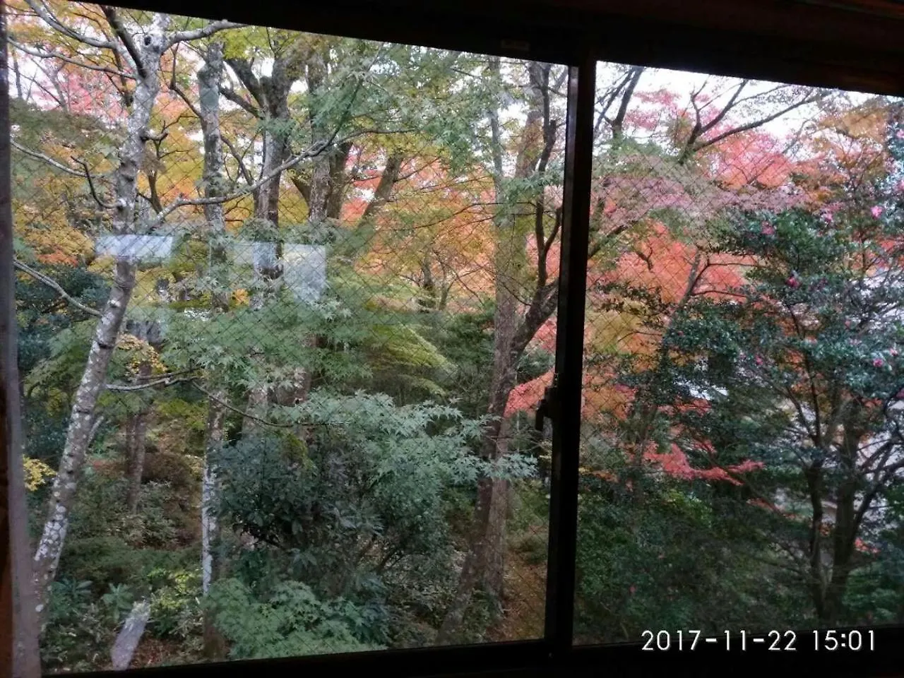 Hakone Miyagino Houseアパートメント